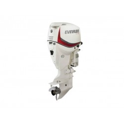 2019 Evinrude 150 HP E150DCX Outboard Motor